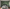 MinimalisticDecor.com-Long Green Leaves Pattern Wallpaper Murals