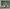 MinimalisticDecor.com-Long Green Leaves Pattern Wallpaper Murals