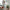 MinimalisticDecor.com-Lush Green Tropical Vibe Mural Wallpaper