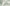 MinimalisticDecor.com-Lush Green Tropical Vibe Mural Wallpaper