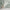 MinimalisticDecor.com-Lush Green Tropical Vibe Mural Wallpaper