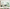 MinimalisticDecor.com-Lush Greens Tropical Wallpaper Murals: Bring Tropics Home