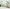 MinimalisticDecor.com-Lush Greens Tropical Wallpaper Murals: Bring Tropics Home