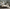 MinimalisticDecor.com-Nature Palm Trees Design - Tropical Forest Wallpaper Mural