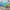 MinimalisticDecor.com-Ocean Creatures Party - Kids Room Wallpaper Mural