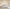 MinimalisticDecor.com-Pastel Leaves - Forest Woods Wallpaper Murals