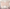 MinimalisticDecor.com-Pink 3D Tree large Wallpaper Murals – Exclusive Collection