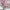 MinimalisticDecor.com-Pink Flowers Wallpaper Mural: Transform Your Space