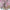 MinimalisticDecor.com-Pink Flowers Wallpaper Mural: Transform Your Space