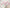 MinimalisticDecor.com-Pink Sketch Glory Flowers Wallpaper Mural