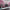 MinimalisticDecor.com-Pink Trees Wallpaper - Perfect Wallpaper for Your Space