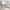 MinimalisticDecor.com-Plant Wallpaper Mural: Enhance Your Space