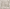 MinimalisticDecor.com-Plants and Trees Brown Theme