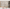 MinimalisticDecor.com-Plants and Trees Brown Theme