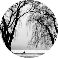 MinimalisticDecor.com-Premium Black Tree Wallpaper – Enhance Your Space