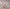 MinimalisticDecor.com-Princess Aurora Pink Floral Girls Room Wallpaper