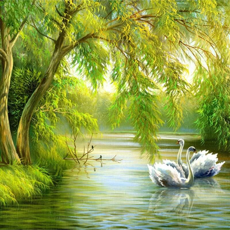 MinimalisticDecor.com-Swans in Lake Wallpaper - Transform Your Space