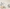 MinimalisticDecor.com-Tall Trees Wallpaper Murals – Transform Your Space