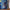 The Milkmaid Famous Art Wallpaper-Premium Wallpapers
