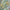 MinimalisticDecor.com-Trees Jungle Wallpaper - Exquisite Nature-Inspired Décor