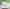 MinimalisticDecor.com-Tropical Forest Leaves Wallpaper Murals