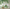 MinimalisticDecor.com-Tropical Forest Leaves Wallpaper Murals
