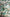 MinimalisticDecor.com-Tropical Green Trees Wallpaper Mural