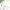 MinimalisticDecor.com-Tropical Plant Leaves Flowers And Birds Wallpaper Mural