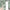 MinimalisticDecor.com-Tropical Plants Rainforest Palm Leaves Wallpaper Mural