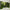 MinimalisticDecor.com-Verdant Oasis Tropical Tree Wallpaper - Lush Paradise