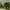 MinimalisticDecor.com-Verdant Oasis Tropical Tree Wallpaper - Lush Paradise