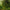 MinimalisticDecor.com-Verdant Oasis Tropical Tree Wallpaper - Lush Paradise