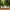 MinimalisticDecor.com-Verdant Oasis Tropical Tree Wallpaper - Lush Paradise