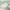 MinimalisticDecor.com-Whispering Foliage: Green Leaves Wallpaper