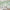MinimalisticDecor.com-Whispering Foliage: Green Leaves Wallpaper
