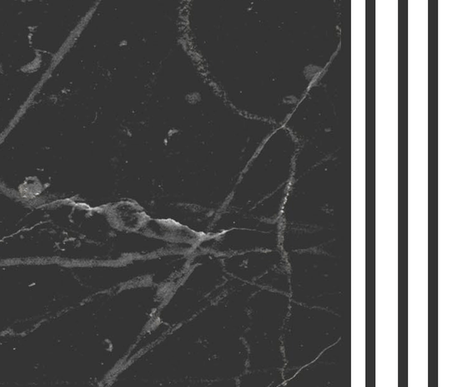 MinimalisticDecor.com-White Fog Stone - Marble Wallpaper Murals
