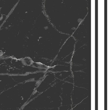 MinimalisticDecor.com-White Fog Stone - Marble Wallpaper Murals