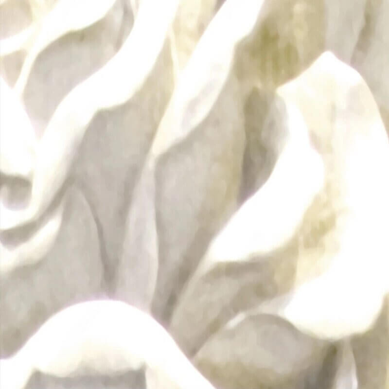 MinimalisticDecor.com-White Rose Flowers Wallpaper for Home Wall Decor