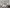 MinimalisticDecor.com-Widespread Tree Grey Theme Wallpaper Murals