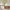 MinimalisticDecor.com-Willow Tree Wallpaper: Transform Your Space
