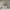 MinimalisticDecor.com-Winter Birds Tree Walllpaper Mural - Enhance Your Space