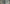 MinimalisticDecor.com-Winter Solitude - Forest Wallpaper Murals
