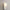 Modern Globe Shade Wall Light – G9 LED Wall Lamp for Bedroom & Hallway-MinimalisticDecor.com