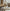 Natural Dry Branches Partition – Log Trunk Room Divider-MinimalisticDecor.com