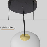 Oval Pendant Chandelier - Illuminate Your Space-MinimalisticDecor.com