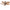 Palm Leaves Ceiling Fan - Designer Ceiling Fan-MinimalisticDecor.com