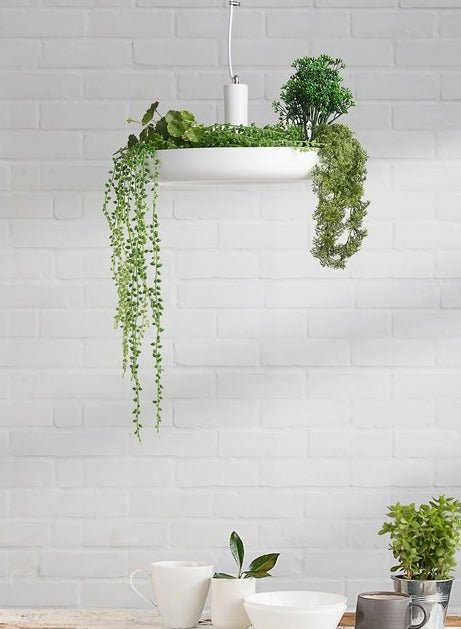 Plant Pendant Hanging Lights - Illuminate Your Space-MinimalisticDecor.com