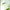 Plant Pendant Hanging Lights - Illuminate Your Space-MinimalisticDecor.com