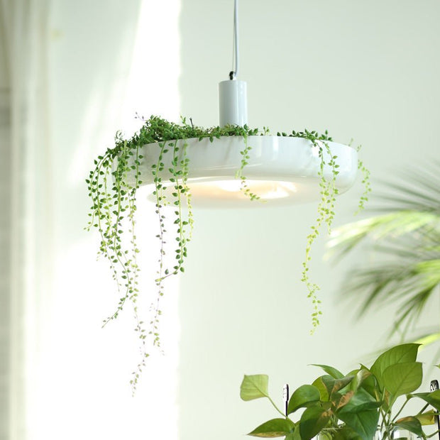 Plant Pendant Hanging Lights - Illuminate Your Space-MinimalisticDecor.com