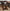 Retro Solid Wood Antique Walnut Dining Table Set – Timeless Craftsmanship-MinimalisticDecor.com